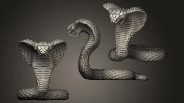 3D model Snake cobra (STL)